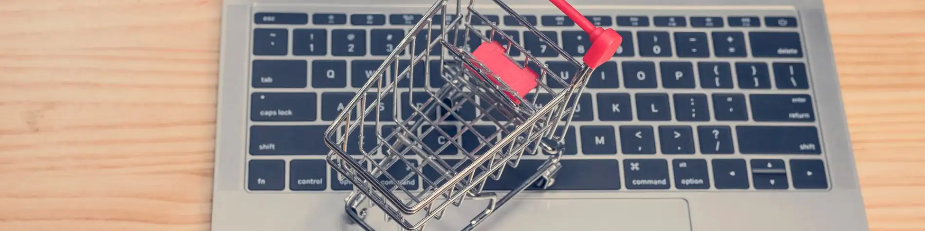 Carrito encima de laptop